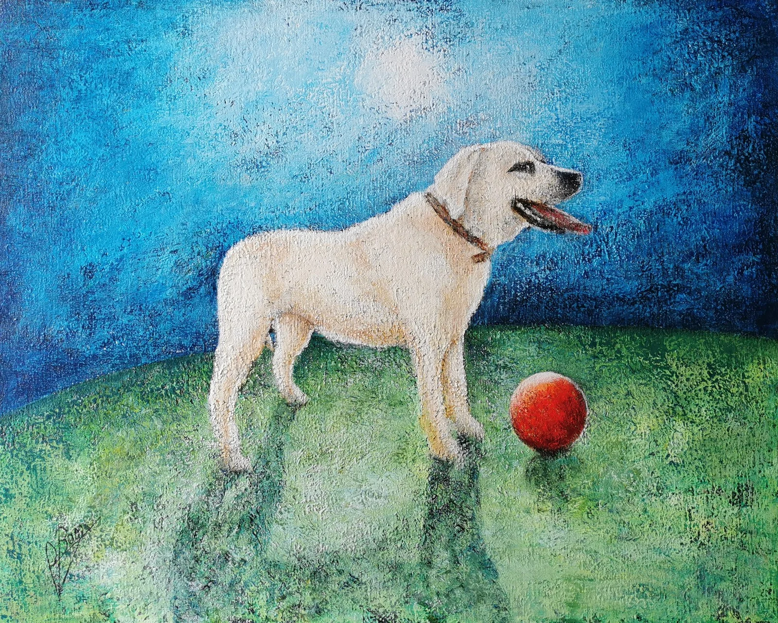 Labrador 81X65